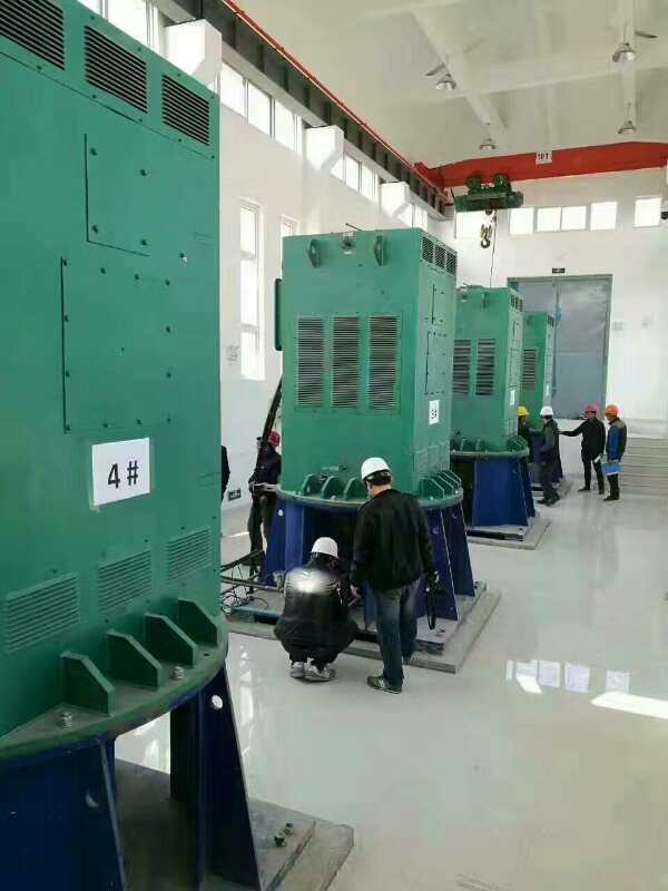 YKK450-4D某污水处理厂使用我厂的立式高压电机安装现场